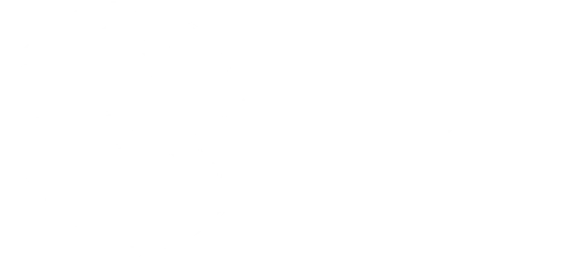 Meridian Flight Logo-2